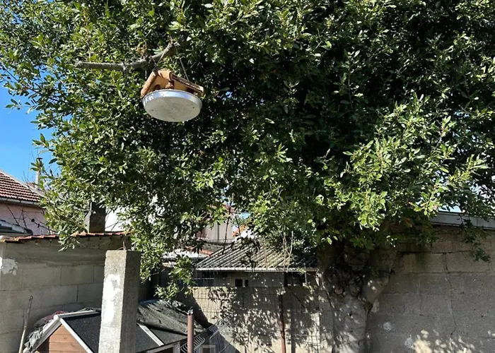 Cozy Proche Paris/cdg * Le Blanc-Mesnil